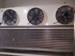 Camaras frigorificas